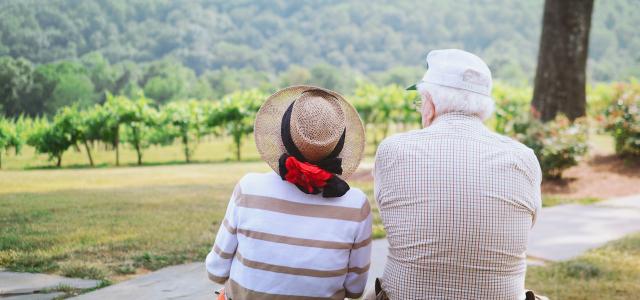 An elderly man and woman sitting together. They have their backs to the camera and are looking out at a vineyard.